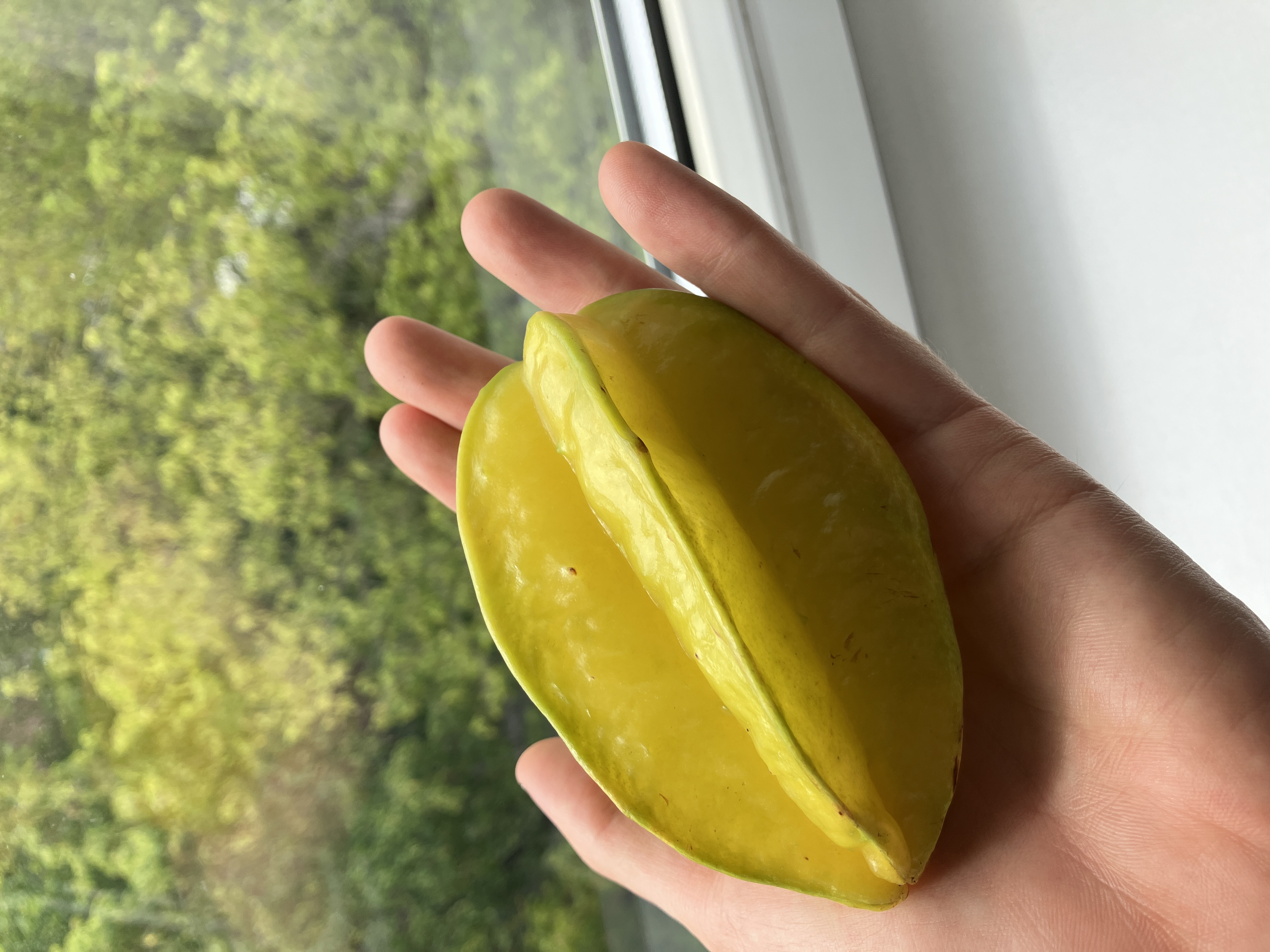 Starfruit